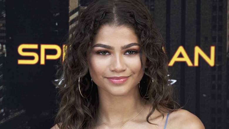 Zendaya family, Zendaya siblings, Zendaya Coleman siblings names