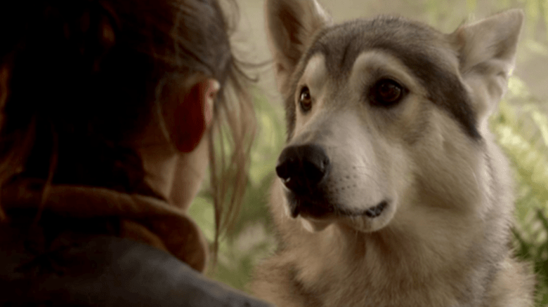 nymeria and arya