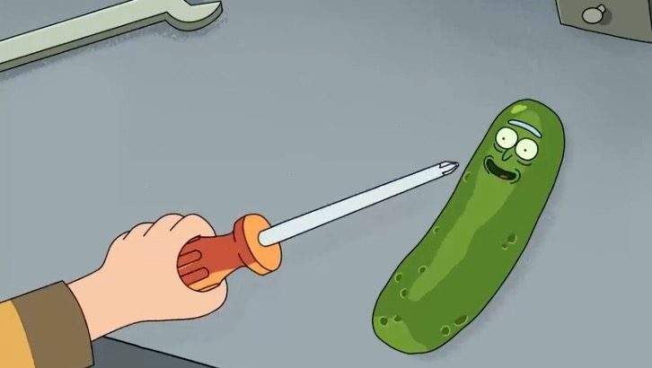 live stream rick and morty