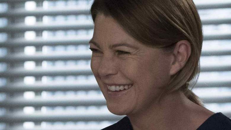 Grey's Anatomy Season 14 Spoilers, Grey's Anatomy Season 14 Love Triangle, Grey's Anatomy meredith riggs megan, meredith and Dr. Riggs on Grey's Anatomy Season 14, grey's anatomy spoilers