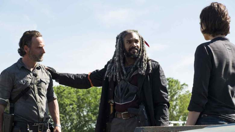 the walking dead netflix