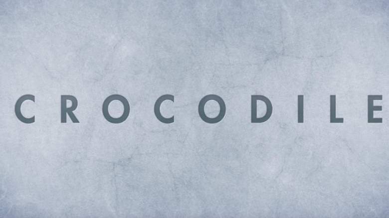 Crocodile