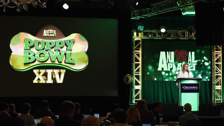 Animal Planet, Puppy Bowl 2018