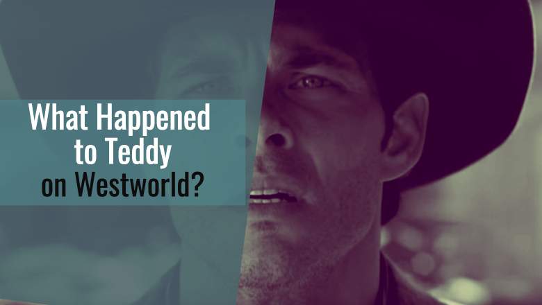What happened to Teddy?