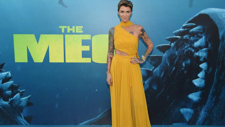 the meg sharks
