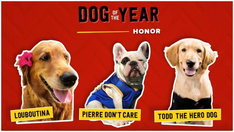 Milk-Bone Dog of the Year Honor