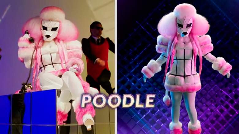 The Masked Singer Poodle Clues
