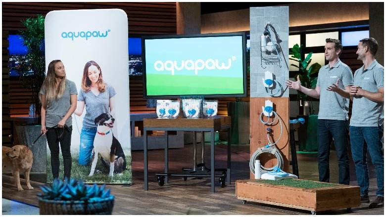 Aquapaw Shark Tank, What is Aquapaw on Shark Tank