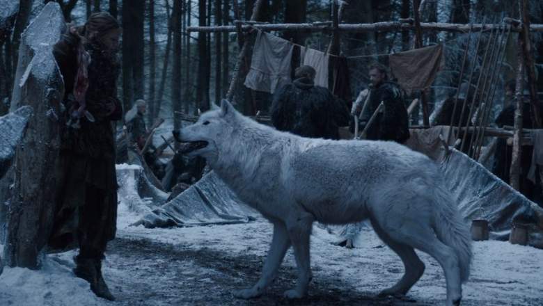 Ghost on Game of Thrones