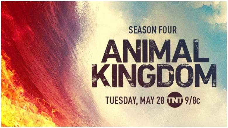 Animal Kingdom