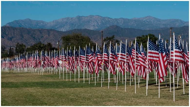 veterans day 2019 airport deals