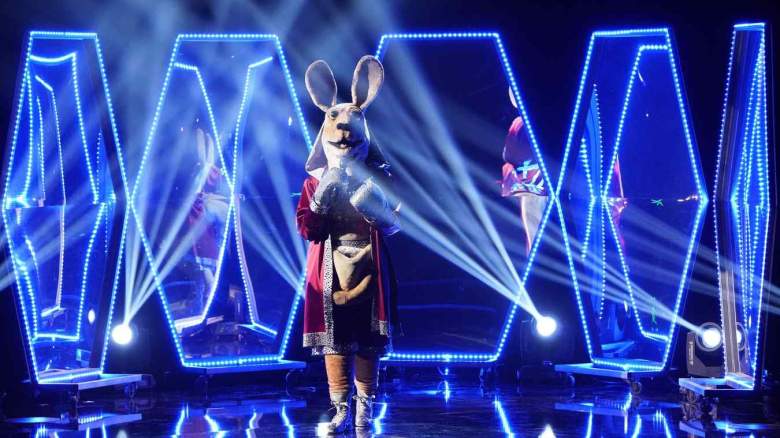 The Masked Singer Kangaroo