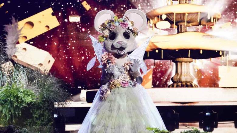 The Masked Singer Reveals