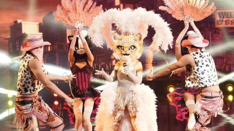 The Masked Singer Unmasked