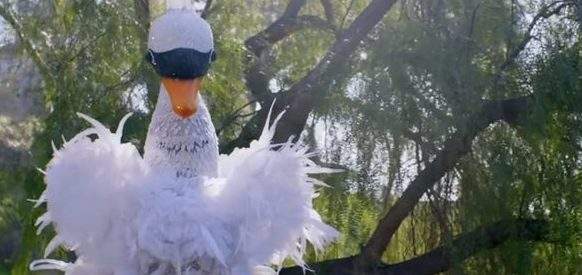 Swan Masked Singer