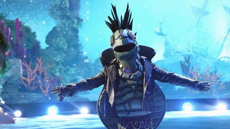The Turtle