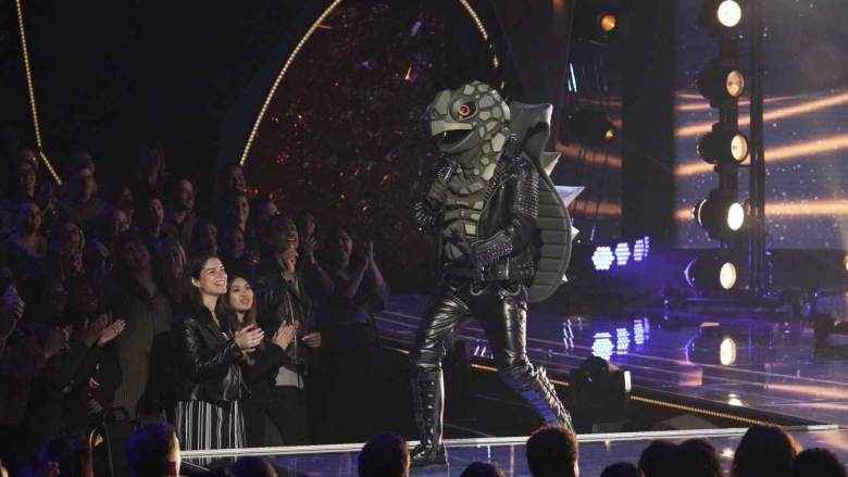 The Masked Singer Turtle
