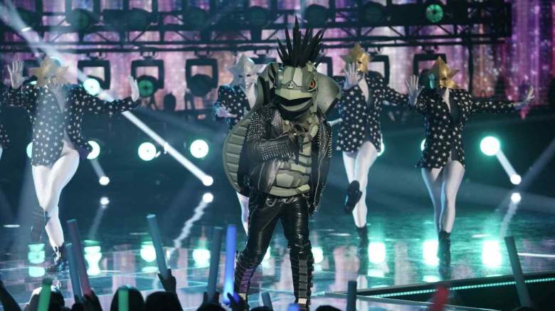 The Masked Singer Turtle