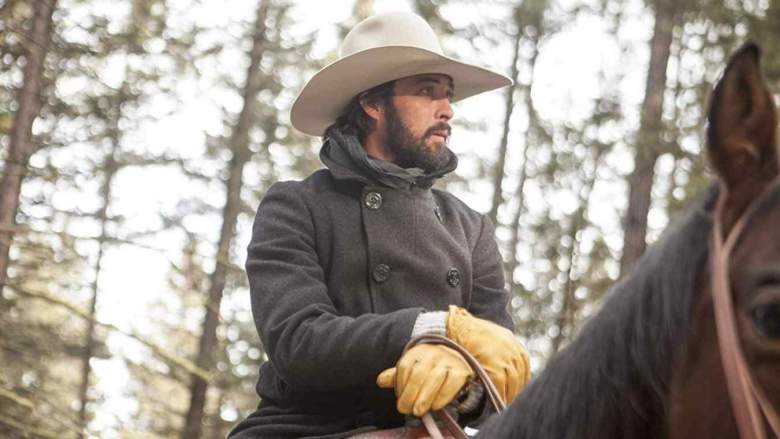 Walker on Yellowstone