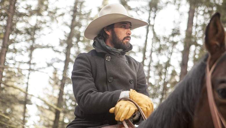 Walker on Yellowstone