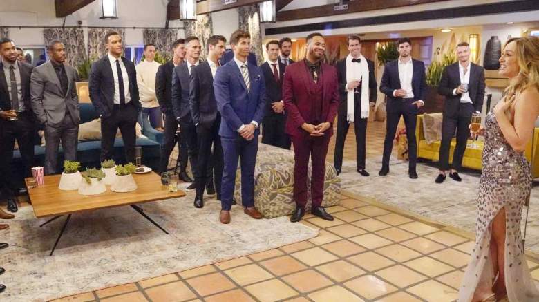 The Bachelorette cast