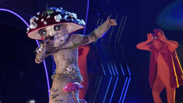 The Masked Singer Mushroom