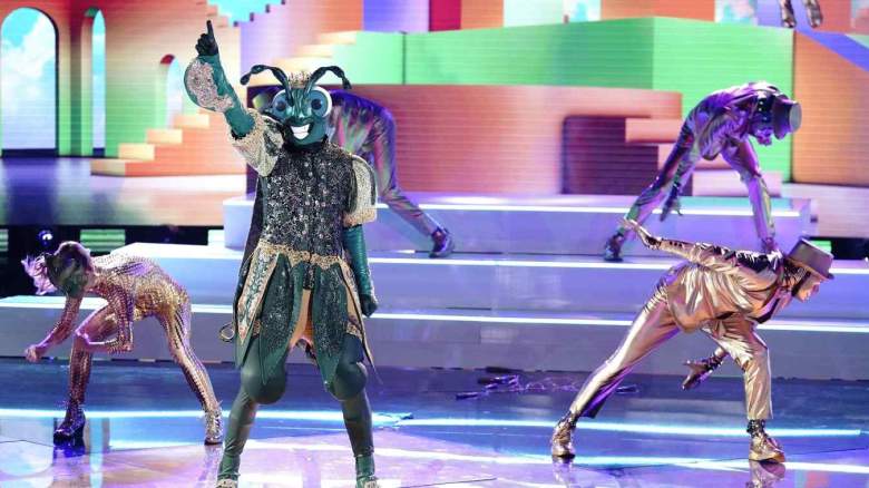 The Masked Dancer Cricket