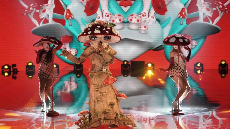 The Masked Singer Mushroom