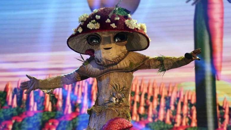 The Masked Singer Mushroom