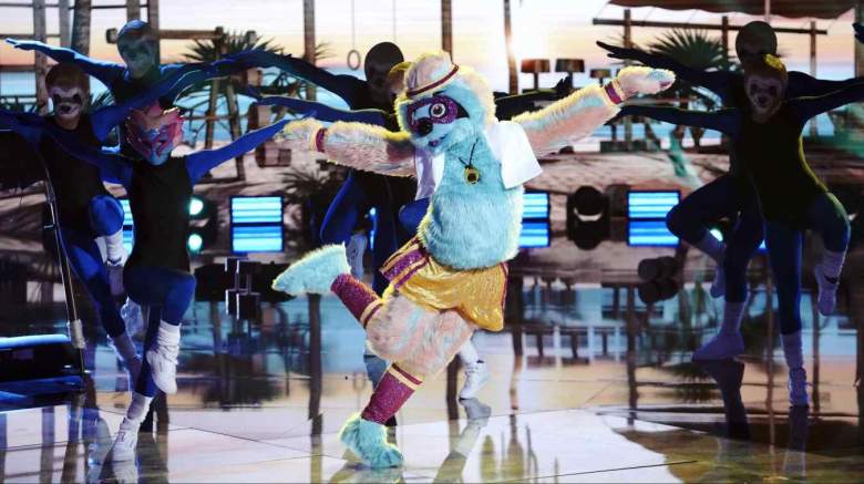 The Masked Dancer Sloth