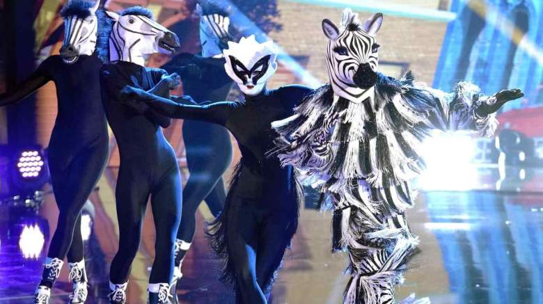 The Masked Dancer Zebra