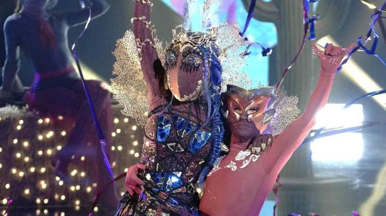 The Masked Dancer Moth