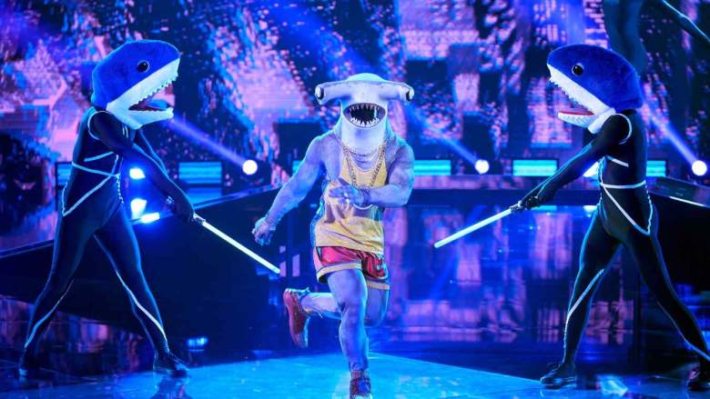 Hammerhead Shark The Masked Dancer