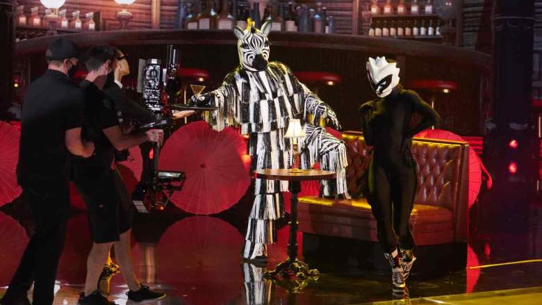 The Masked Dancer Zebra