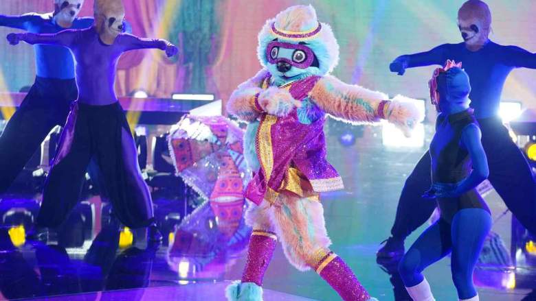 The Masked Dancer Sloth