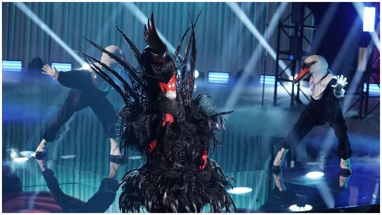 The Black Swan