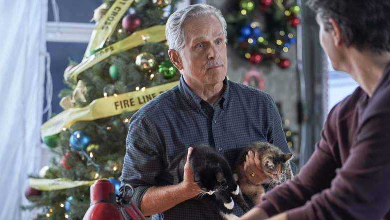 The Nine Kittens of Christmas