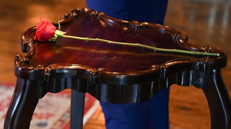 A 'Bachelor' rose