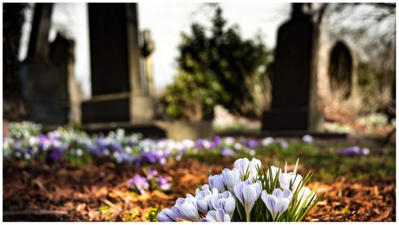 A graveyard