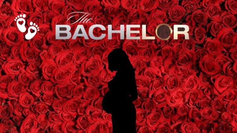 The Bachelor