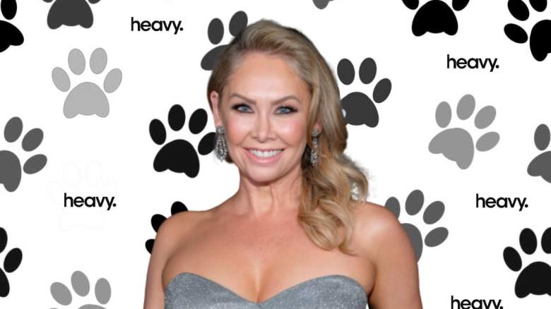 Kym Herjavec.