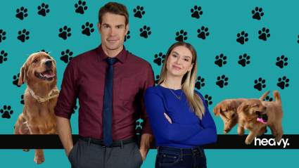 Where Was ‘Everything Puppies’ Filmed? See Cast Stories & Locations