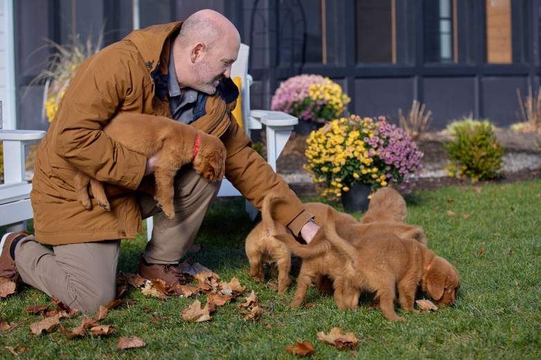 "Everything Puppies"