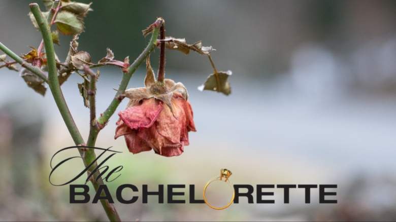 A wilted rose.