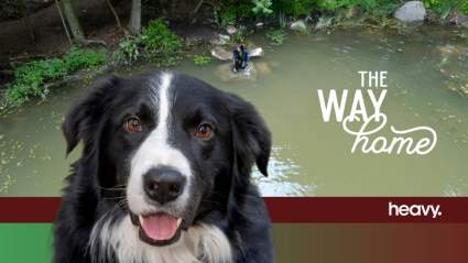 ‘The Way Home’ Cast Reveals Finn the Dog’s Tragic Past: ‘Very Rough’ Upbringing