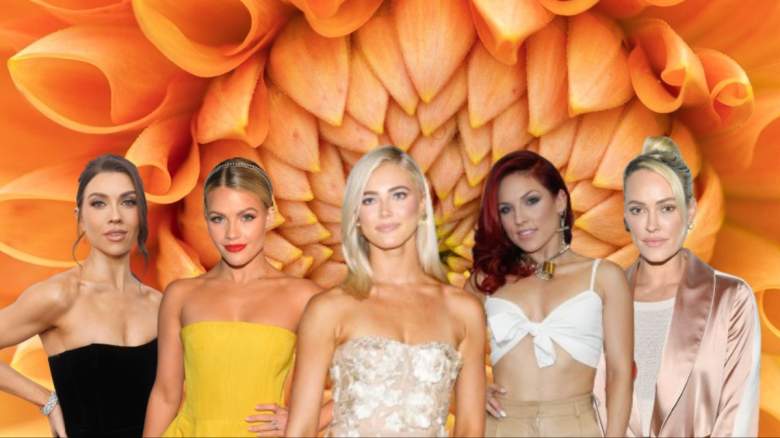Jenna Johnson, Witney Carson, Rylee Arnold, Sharna Burgess, and Peta Murgatroyd.
