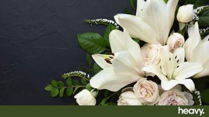 Stars Mourn Iconic Hallmark Alum’s Death: ‘True Inspiration’
