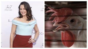 jennifer garner chicken