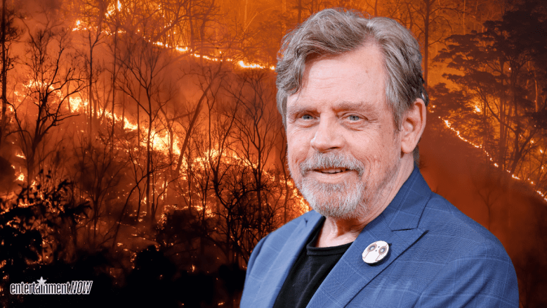 Mark Hamill Evacuation