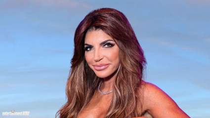 Teresa Giudice Gives Update On RHONJ Pause: ‘It’s Good to Take a Break’
